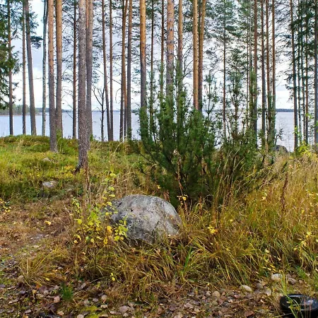Loma-asunnot Holiday Amero Purnu 4 Lieksa